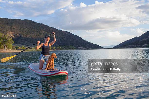 young woman paddleboarding with puppy on a lake - surf dog competition stock pictures, royalty-free photos & images