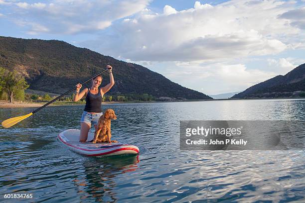 young woman paddleboarding with puppy on a lake - paddle boarding bildbanksfoton och bilder