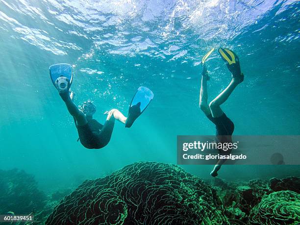 boy and girl swimming underwater, exmouth, western australia, australia - exmouth western australia stock pictures, royalty-free photos & images