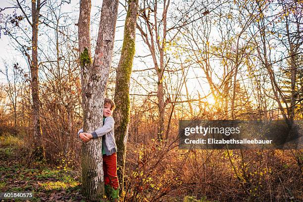 boy hugging tree in the forest - child hugging tree stock pictures, royalty-free photos & images