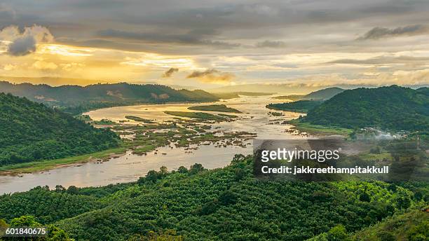 aerial view of mekong river and forest, thailand - river mekong stockfoto's en -beelden