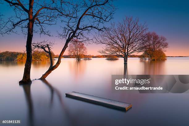 lac de grand-lieu, nantes, loire-atlantique, france - jantes stock pictures, royalty-free photos & images