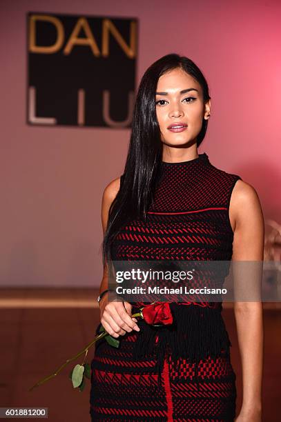 Pia Wurtzbach attends the Dan Liu fashion show during New York Fashion Week: The Shows September 2016 at The Gallery, Skylight at Clarkson Sq on...