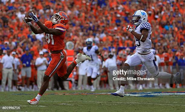 Antonio Callaway of the Florida Gators makes a catch for a touchdown during a game against the Kentucky Wildcats at Ben Hill Griffin Stadium on...