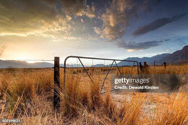 old gate in field, karoo, touwsrivier, western cape, south africa - 半沙漠高原 個照片及圖片檔