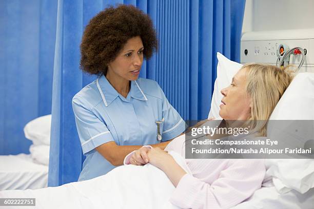 nurse comforting patient in hospital - compassionate eye stock-fotos und bilder