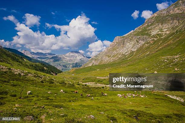 lanscape near the col (mount) de l'iseran - val d'isere stockfoto's en -beelden