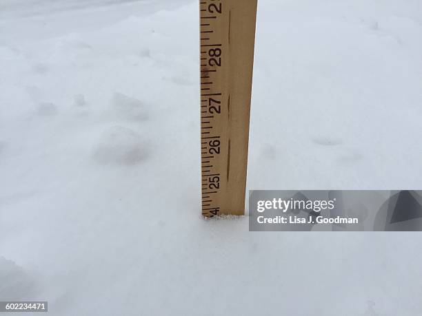 extreme weather - blizzard - meter stick stock pictures, royalty-free photos & images