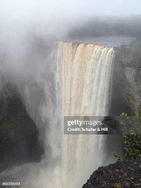 color stories - grey - kaieteur falls stock pictures, royalty-free photos & images
