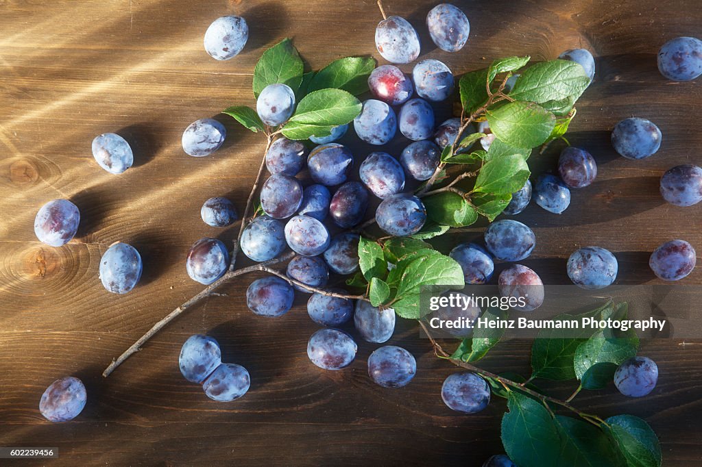 Plums on a wooden table in the sun