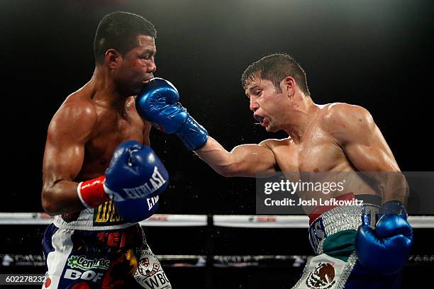 Carlos Cuadras of Mexico and Roman Gonzalez of Nicaragua in action during their WBC super flyweight title fight at The Forum on September 10, 2016 in...