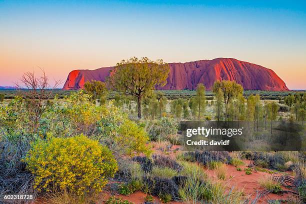 ayers rock sonnenaufgang - ayers rock stock-fotos und bilder