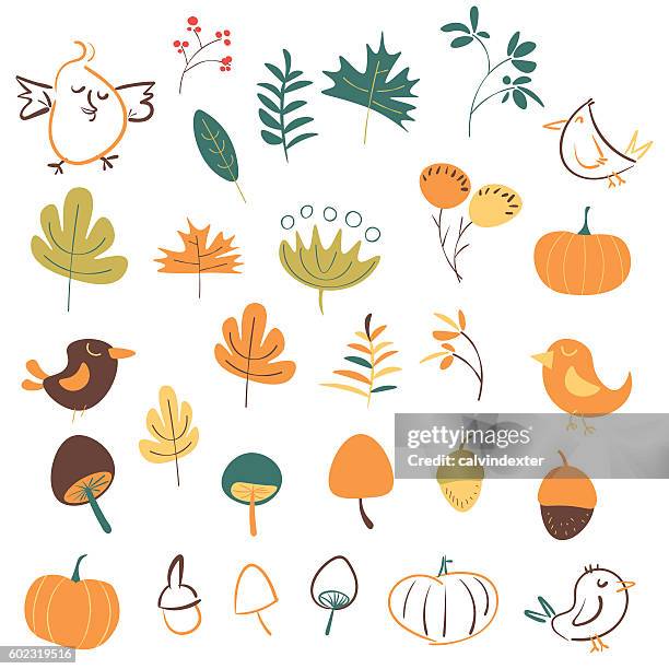 Fall Symbol Draw Hand Drawn Autumn Symbols High-Res Vector Graphic - Getty Images