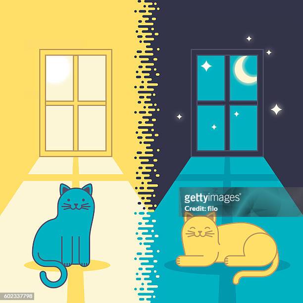 day cat and night cat - day night stock illustrations