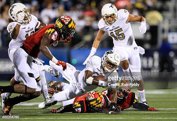 Maurice Alexander of the FIU Panthers in action during the game against the Maryland Terrapins at FIU Stadium on September 9, 2016 in Miami, Florida.