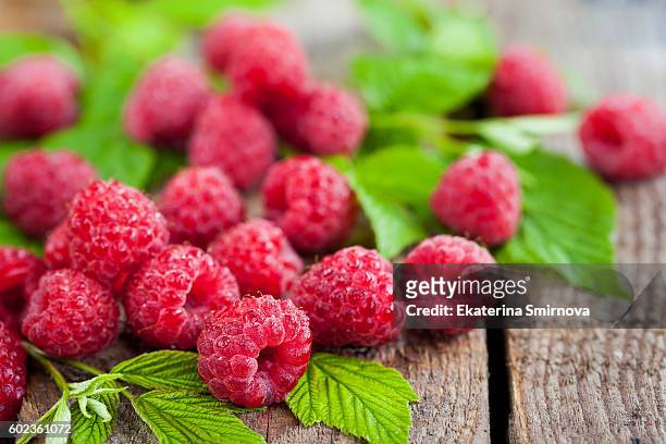 fresh organic ripe raspberry - framboises photos et images de collection