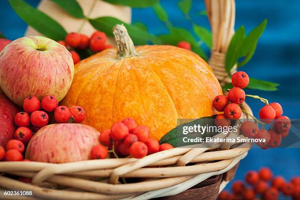 autumnal pumpkin, apples and rowan-berry - crushed leaves stock pictures, royalty-free photos & images