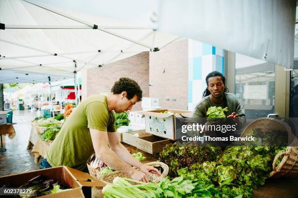 farmers arranging vegetables at farmers market - mercato di prodotti agricoli foto e immagini stock