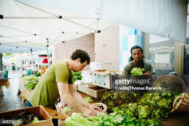 farmers arranging vegetables at farmers market - farm produce market stock pictures, royalty-free photos & images