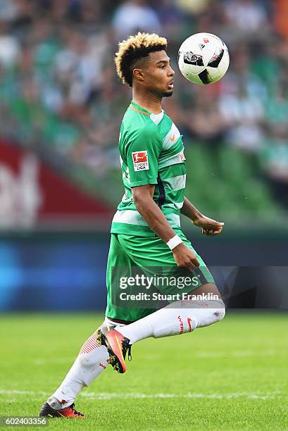 Serge Gnabry of Bremen in action during the Bundesliga match between Werder Bremen and FC Augsburg at Weserstadion on September 11, 2016 in Bremen,...