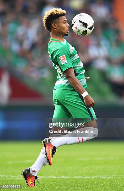 Serge Gnabry of Bremen in action during the Bundesliga match between Werder Bremen and FC Augsburg at Weserstadion on September 11, 2016 in Bremen,...