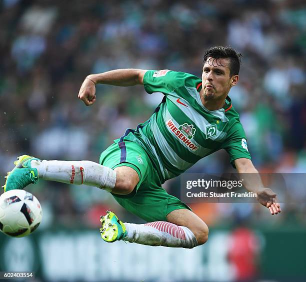 Zlatko Junuzovic of Bremen in action during the Bundesliga match between Werder Bremen and FC Augsburg at Weserstadion on September 11, 2016 in...