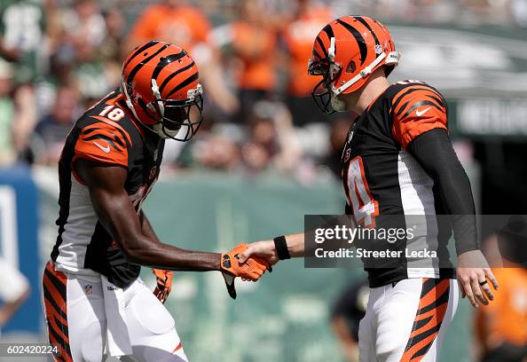 Cincinnati Bengals v New York Jets Cincinnati Bengals v New York Jets