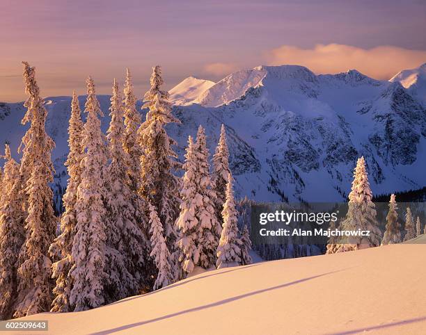 cariboo mountains british columbia - cariboo stockfoto's en -beelden