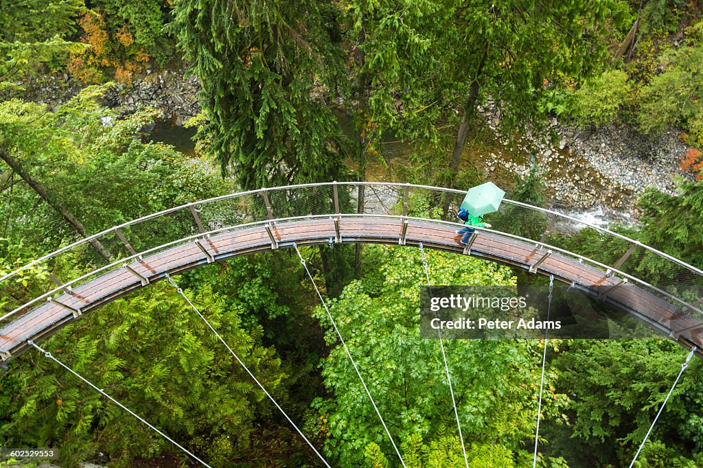 Capilano Suspension Bridge and Park, Vancouver