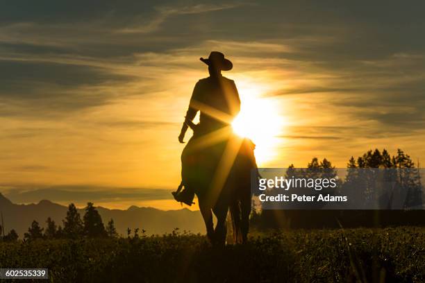 cowboy riding horse at sunset or sunrise - cowboy hat imagens e fotografias de stock