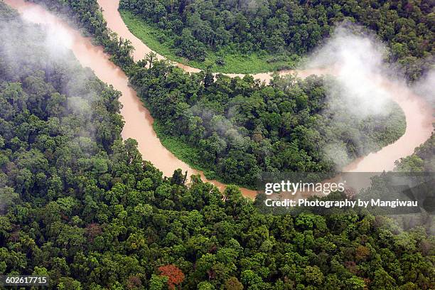 jungle meander - comercio de derechos de emisión fotografías e imágenes de stock