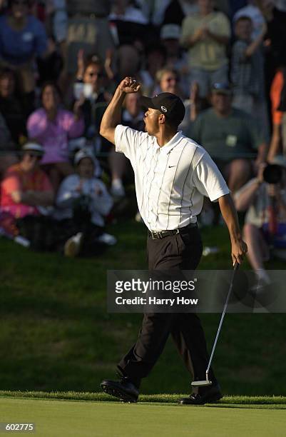Tiger Woods celebrates after holing a long birdie on the 17th hole at TPC at Sawgrass during the third round of play at The Players Championship in...