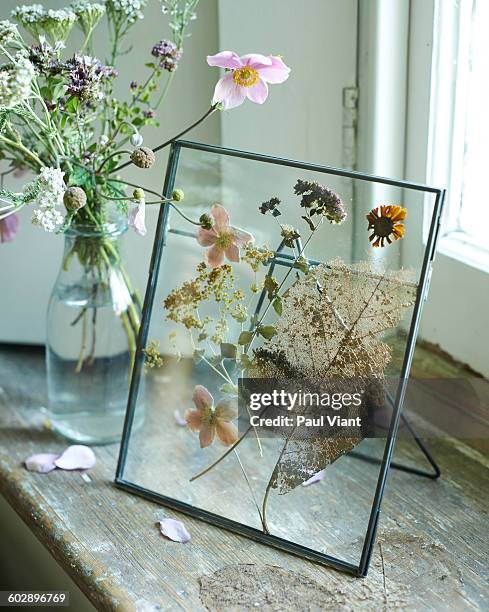 metal photo frame with dried flowers - pushing fotografías e imágenes de stock