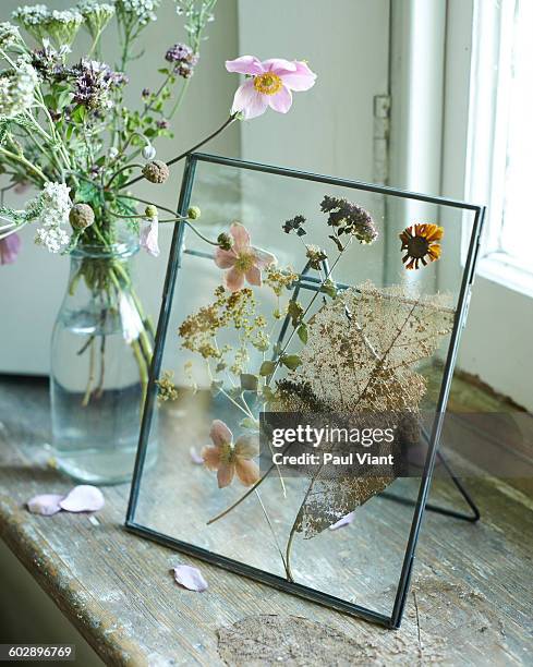 metal photo frame with dried flowers - pushing stockfoto's en -beelden