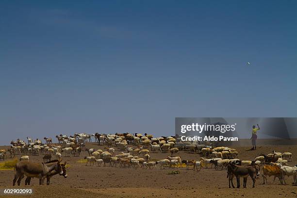 kenya, nanyuki, samburu tribe of kisargei - nanyuki stock pictures, royalty-free photos & images