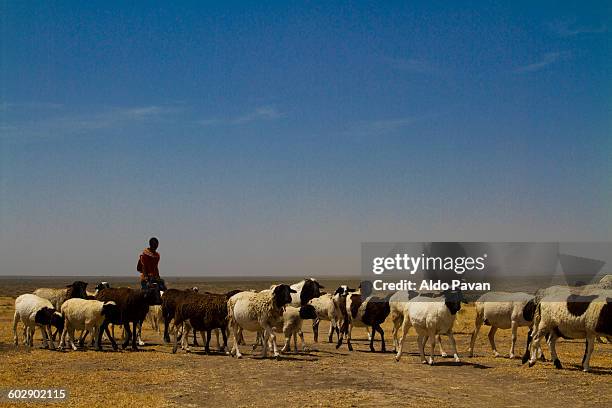 kenya, nanyuki, samburu tribe of kisargei - nanyuki stock pictures, royalty-free photos & images