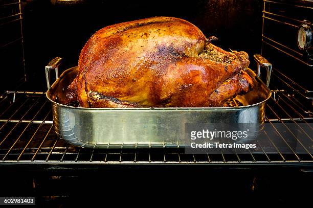 usa, new york state, new york city, roasted turkey for thanksgiving in oven - backofen stock-fotos und bilder
