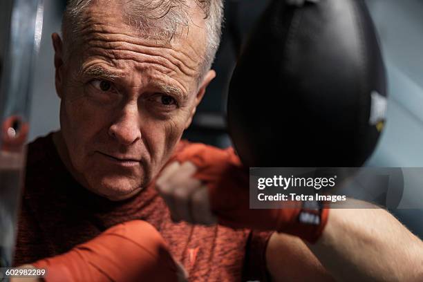 man in health club hitting speed bag - boxing speed bag stock pictures, royalty-free photos & images