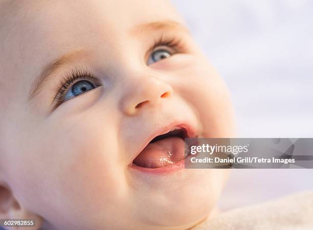 usa, maine, camden, portrait of laughing baby boy (6-11 months) - baby laughing stock pictures, royalty-free photos & images