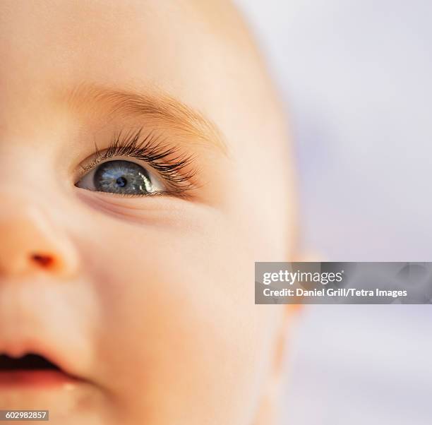 usa, maine, camden, close-of baby boys (6-11 months) blue eye - baby blue eyes stock pictures, royalty-free photos & images