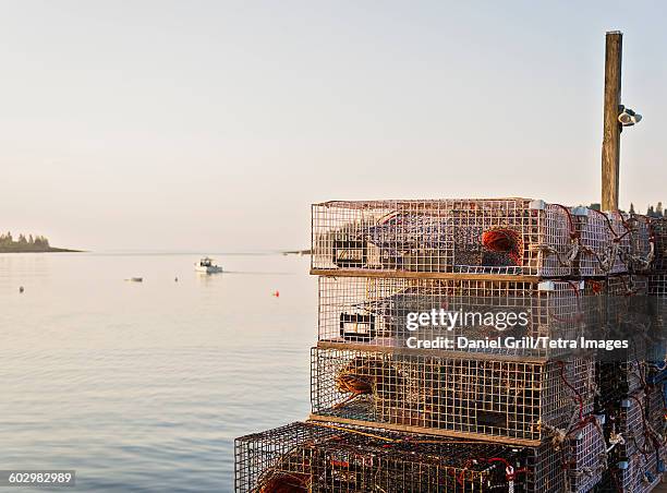 517 Lobster Trap Maine Stock Photos, High-Res Pictures, and Images