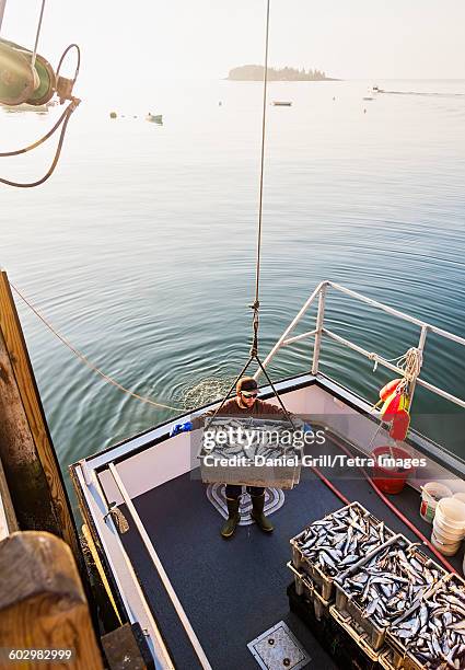 Fish Load Fish Loads Photos and Premium High Res Pictures - Getty Images
