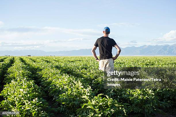 Field Worker Rear View 4,693 Farmer Rear View Stock Photos, High-Res Pictures, and Images ...
