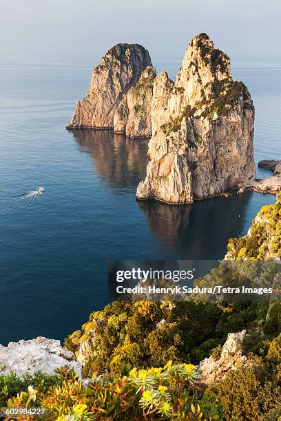 italy, campania, capri island, capri, faraglioni, rocky seacoast - gestapelde stenen stockfoto's en -beelden
