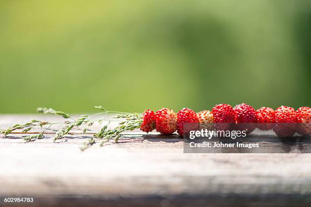 Alpine Fresh Raspberries Alpine Strawberries Photos and Premium High Res Pictures - Getty Images