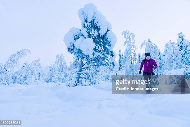 woman running with dog at winter - kiruna 個照片及圖片檔