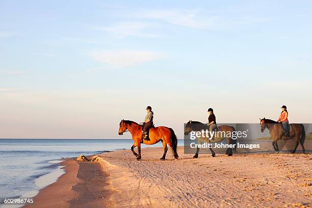 three women horseback riding on beach - three girls at beach stock pictures, royalty-free photos & images