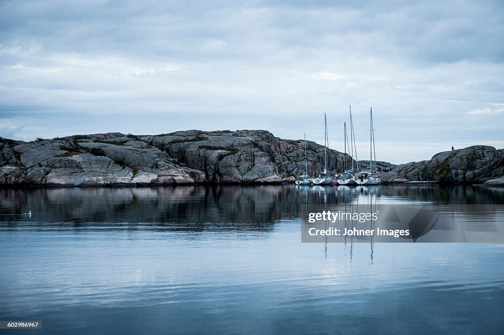 Sailboats in bay