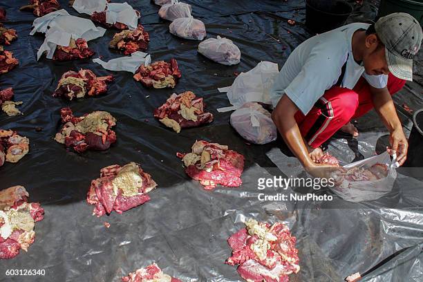 Pieces of meat are arranged before being distributed to people considered as poor, during the Eid al-Adha celebrations in Lhokseumawe, Aceh Province,...
