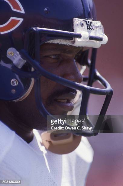 Walter Payton of the Chicago bears circa 1987 against the Los Angeles Raiders at the Coliseum in Los Angeles, California.